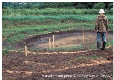 how to build a dragonfly pond (2) how to build a dragonfly pond (2)