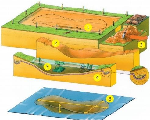 how to build a dragonfly pond (4) how to build a dragonfly pond (4)