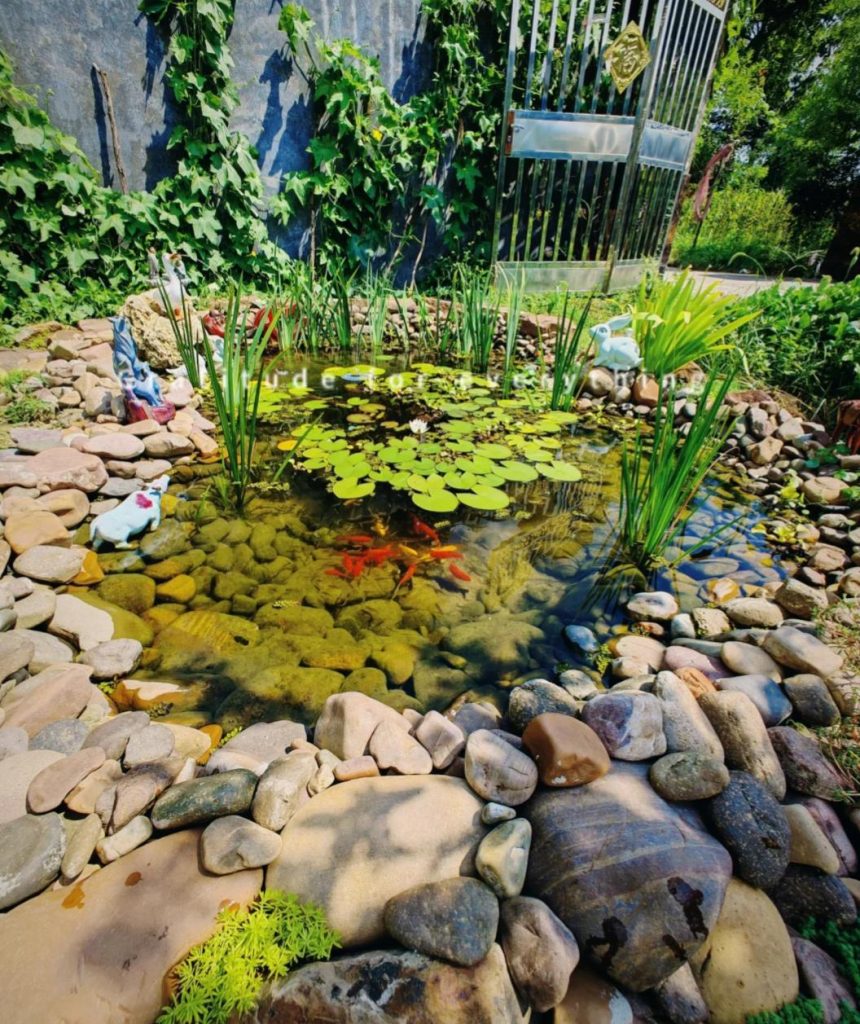 diy backyard garden dragonfly pond (3)