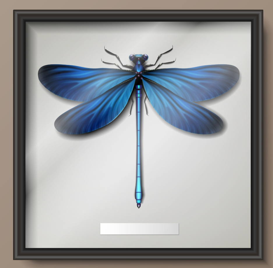 blue dragonfly meaning (1)