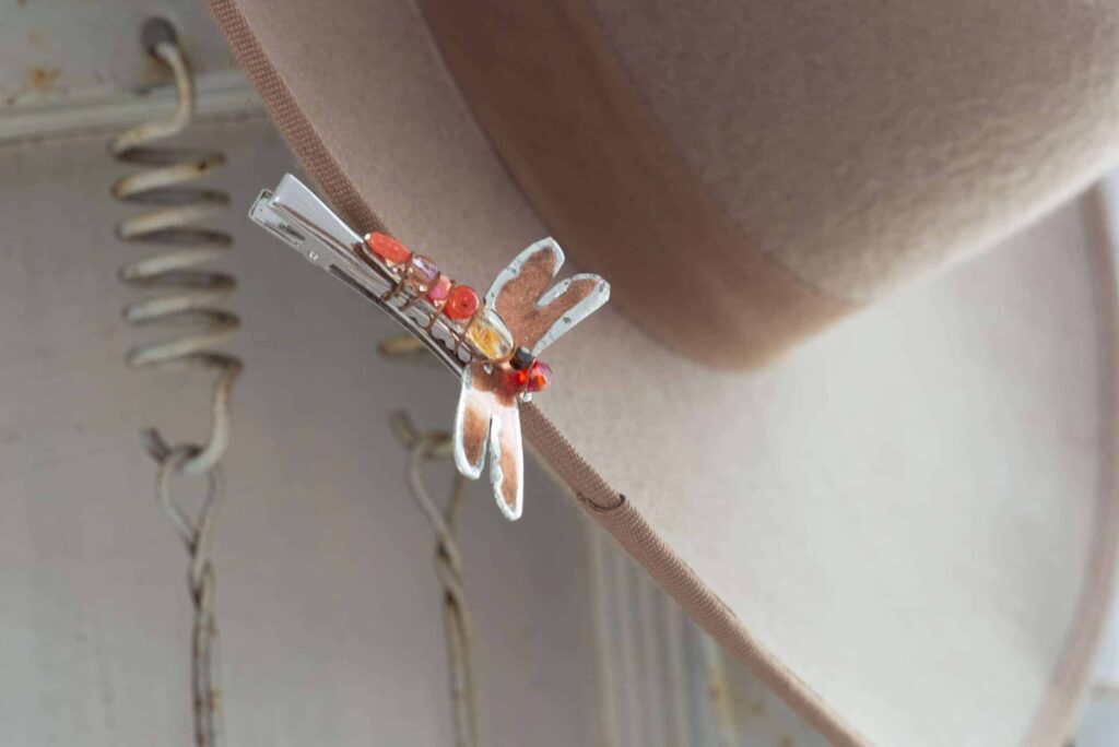 what does it mean when you see a dragonfly (1)