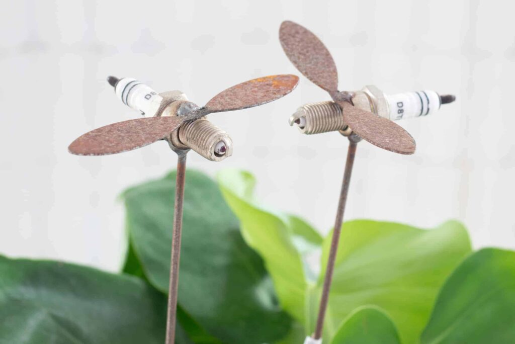 what does it mean when you see a dragonfly (2)