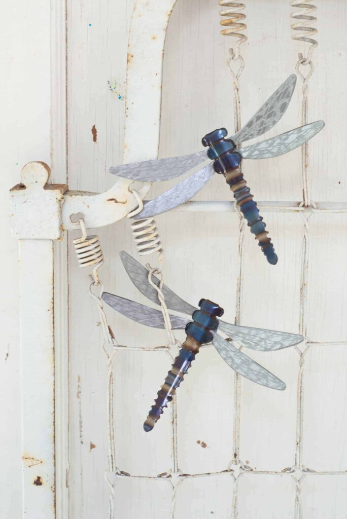 what does it mean when you see a dragonfly (4)