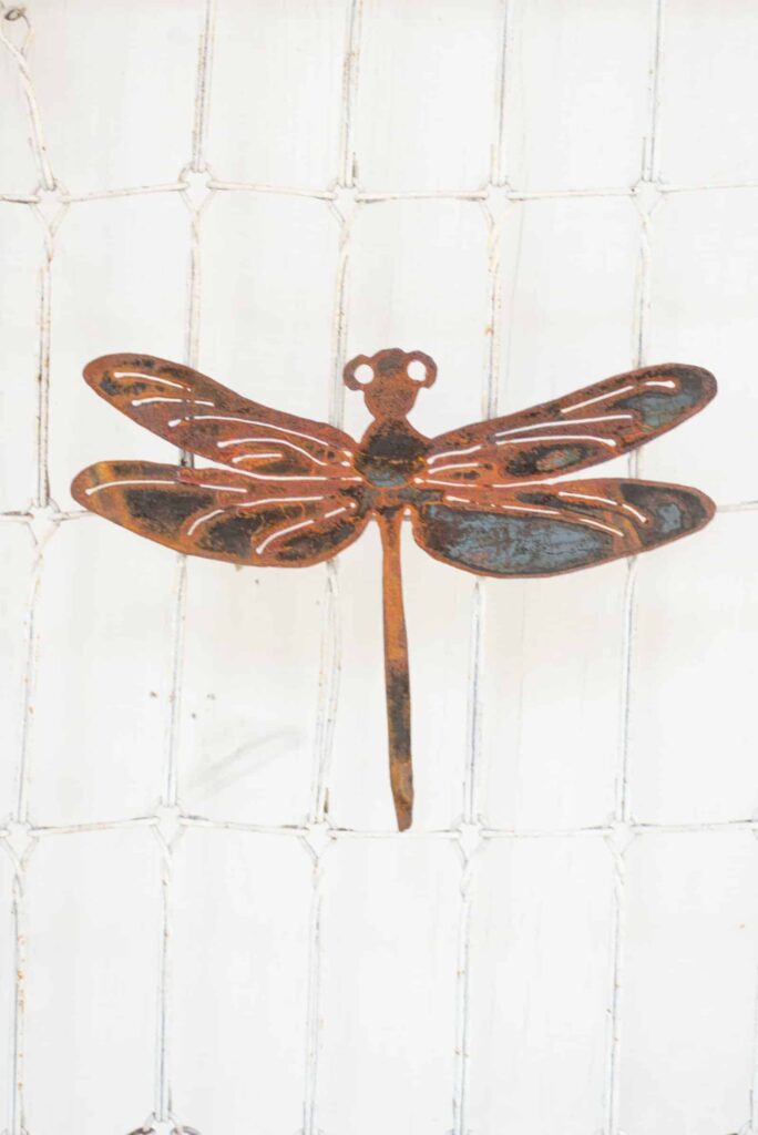 what does it mean when you see a dragonfly (5)