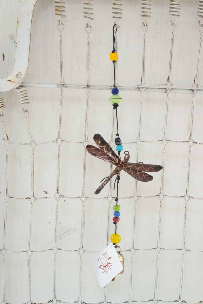 what does it mean when you see a dragonfly (6)