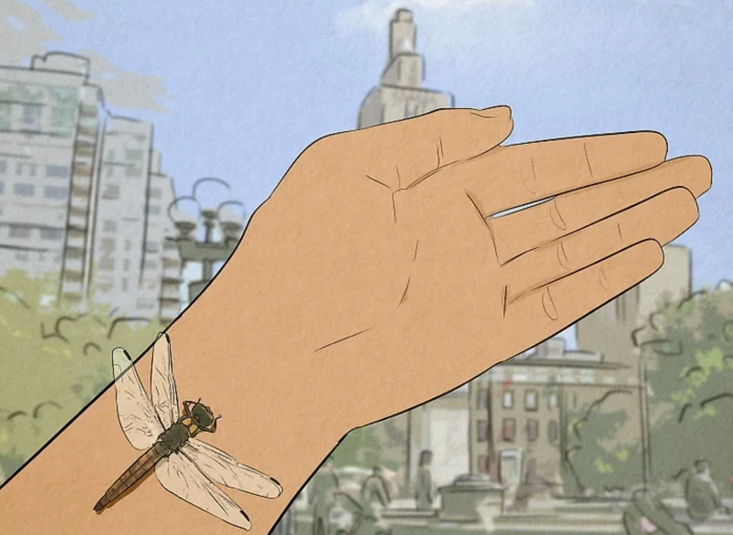 Illustration of a dragonfly resting on a person's wrist beside an open hand
