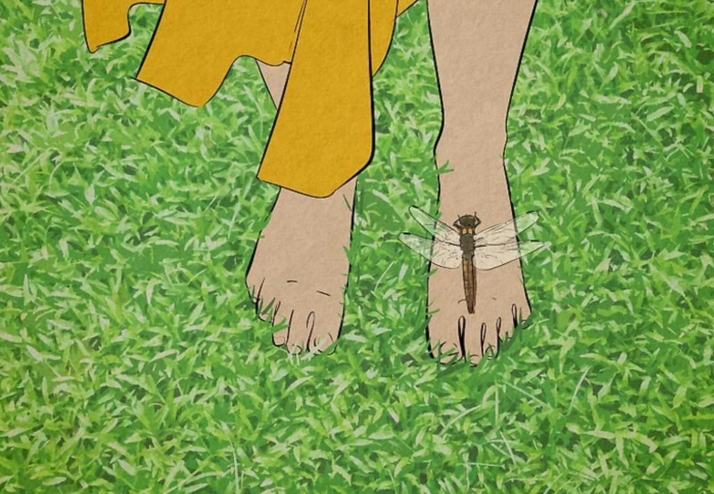 why dragonflies land on people (4)